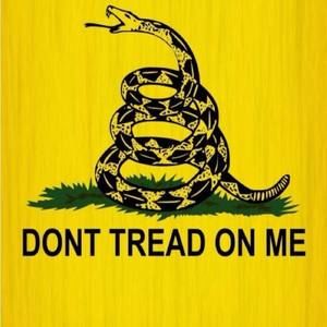 Meet your Posher, Wayne